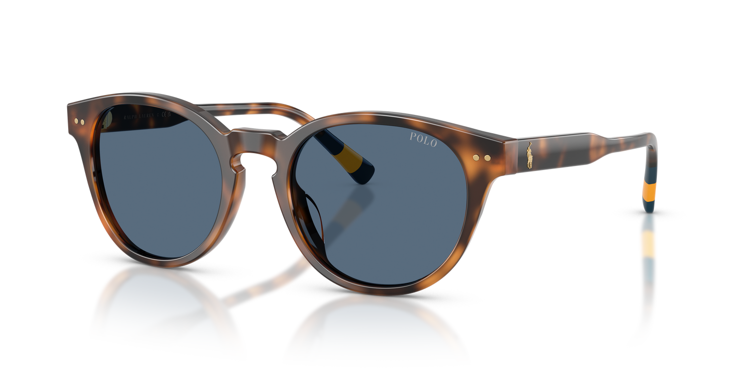 POLO PH4241U 608980 52