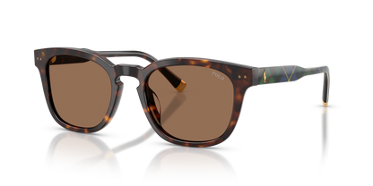 POLO PH4242U 562573 52