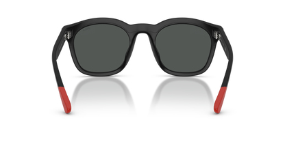 POLO PH4243U 553487 51