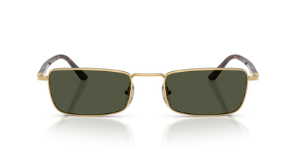 PERSOL PO1025S 515/31 54