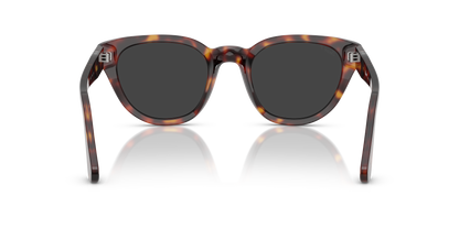 PERSOL PO3379S 24/48 51
