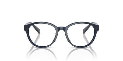 POLO PP8546U 5964 45