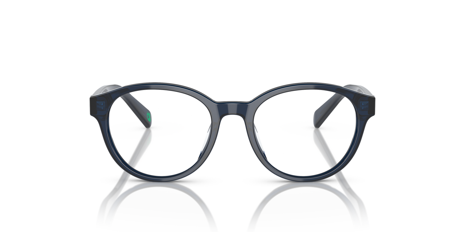 POLO PP8546U 5964 49