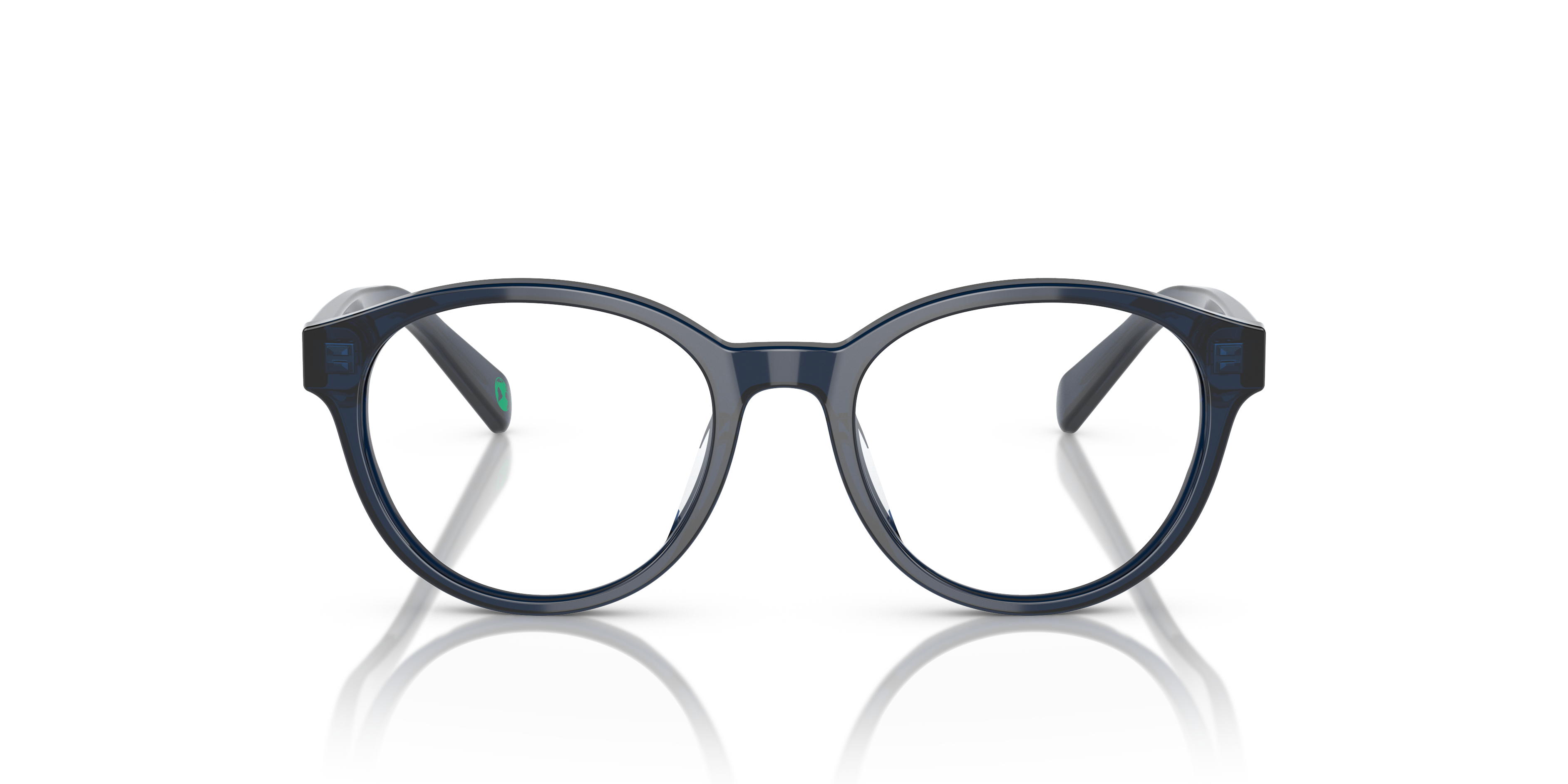 POLO PP8546U 5964 49