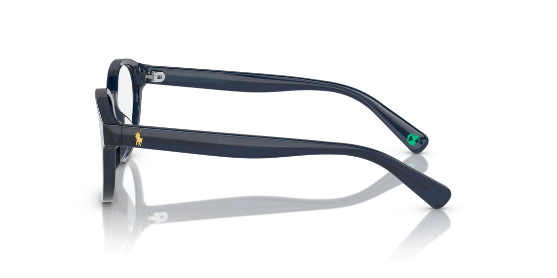 POLO PP8546U 5964 49