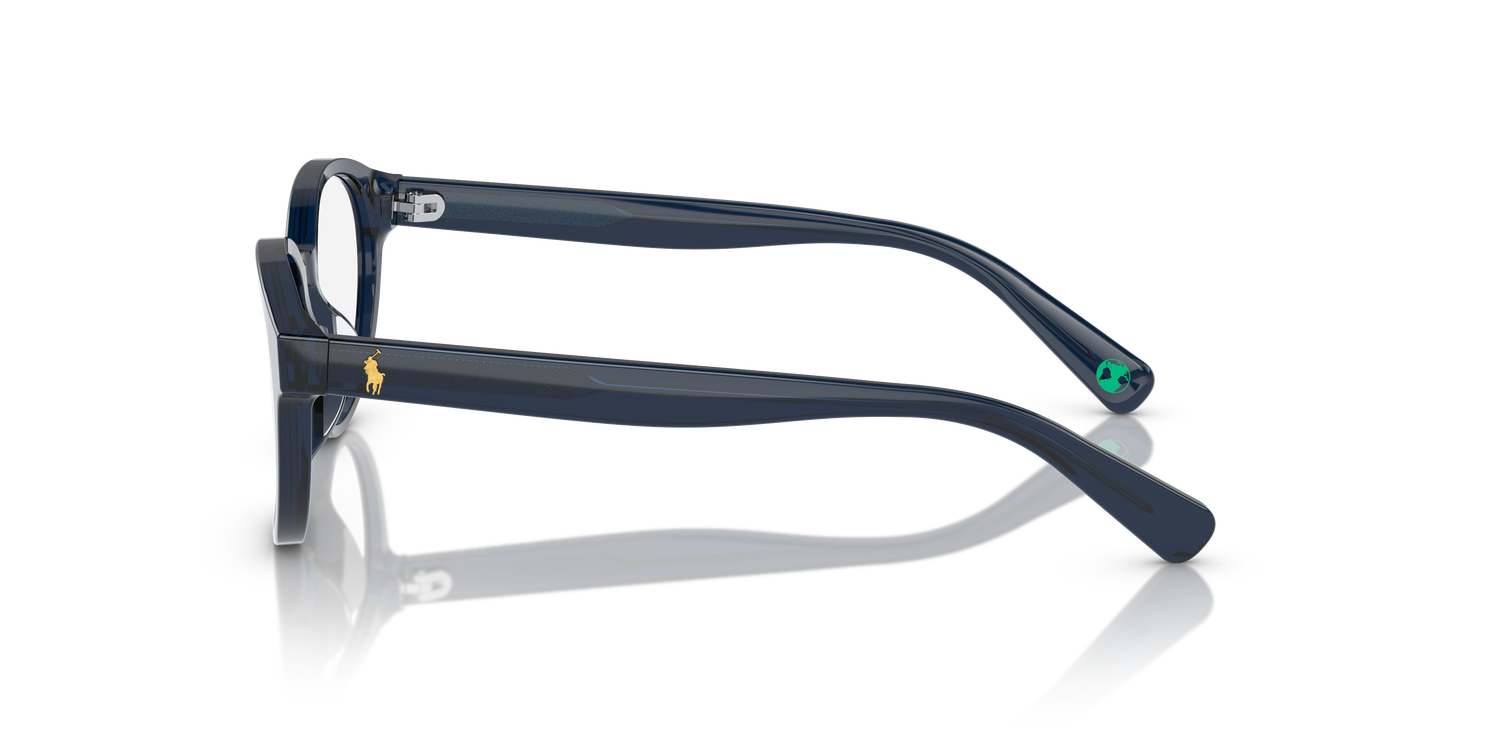 POLO PP8546U 5964 45