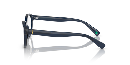 POLO PP8546U 5964 47