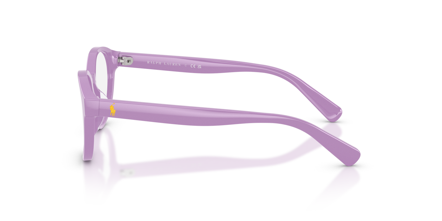 POLO PP8546U 6325 47