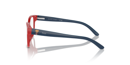 POLO PP8549U 6091 45