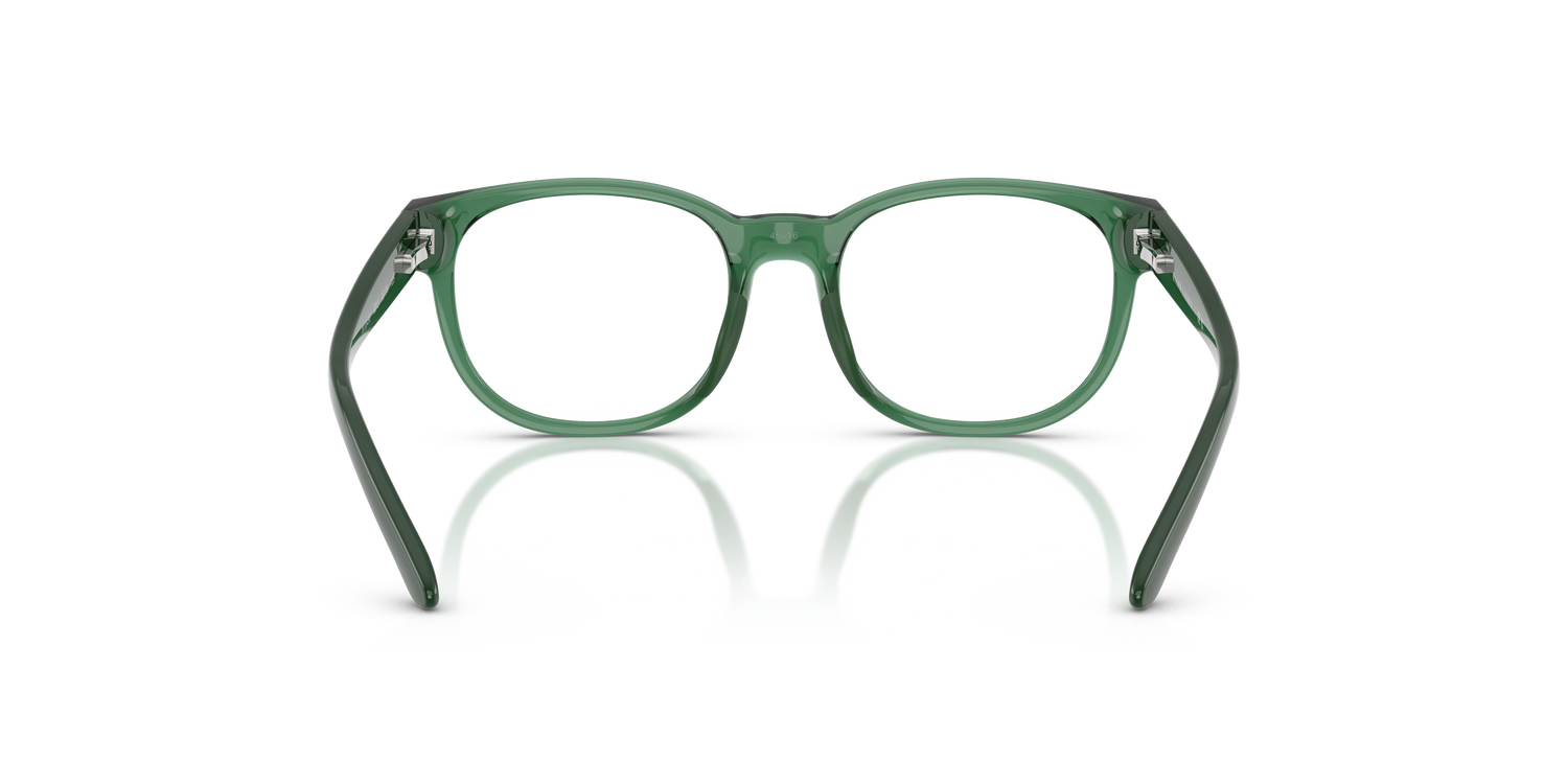 POLO PP8549U 6312 43