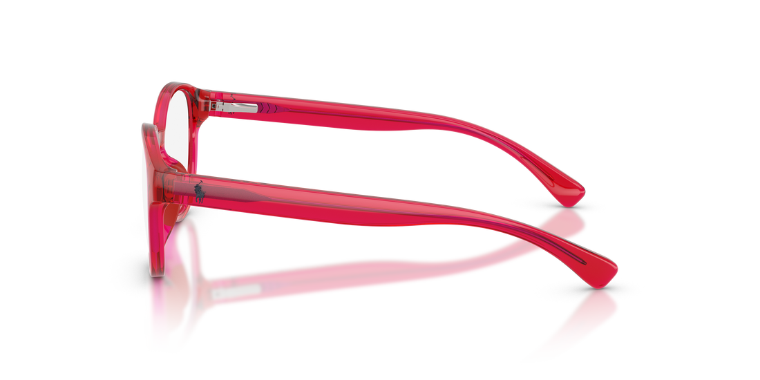 Lunettes de vue polo pp8550u 5102 rojo pantos infantil taille 47mm - Vue détaillée