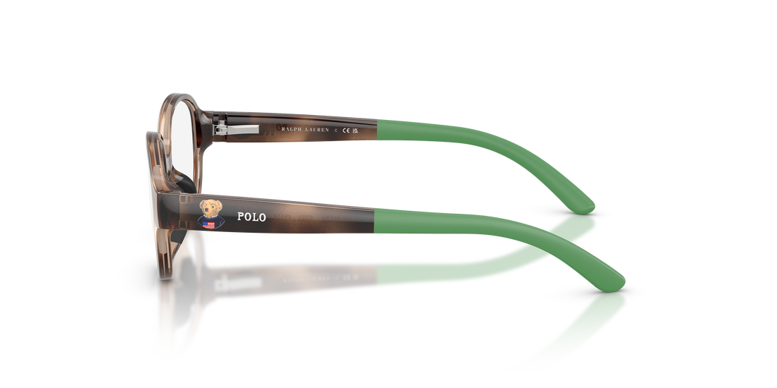 Lunettes de vue polo pp8552u 5003 havana oval infantil taille 43mm - Vue détaillée