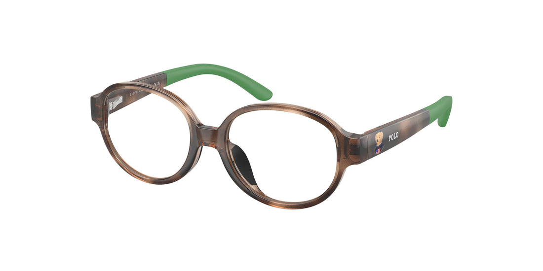 Lunettes de vue polo pp8552u 5003 havana oval infantil taille 43mm - Vue principale