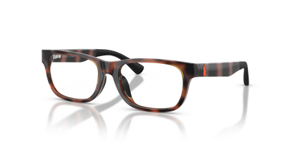 POLO PP8555U 5177 49