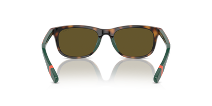 POLO PP9507U 500373 49