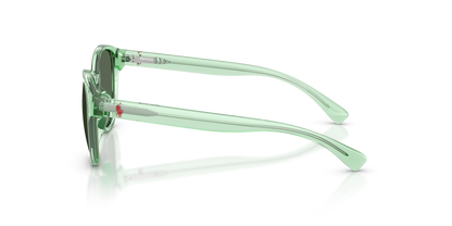 POLO PP9509U 625071 48