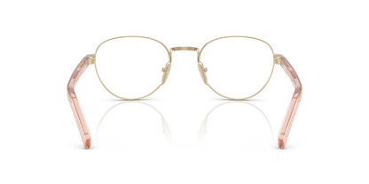 PRADA PR B53V ACX1O1 49