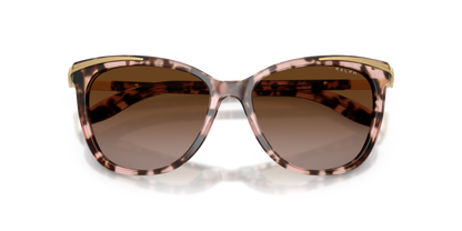 RALPH RA5203 146313 54