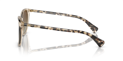 RALPH RA5293 VVCV 6072T5 56