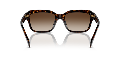 RALPH RA5312U 500313 55