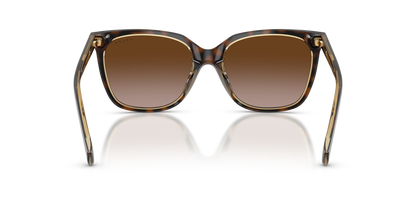 RALPH RA5343U 629413 55