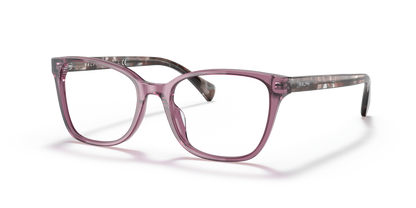 RALPH RA7137U 6008 53