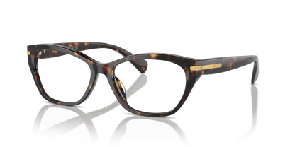 RALPH RA7161U 5003 53