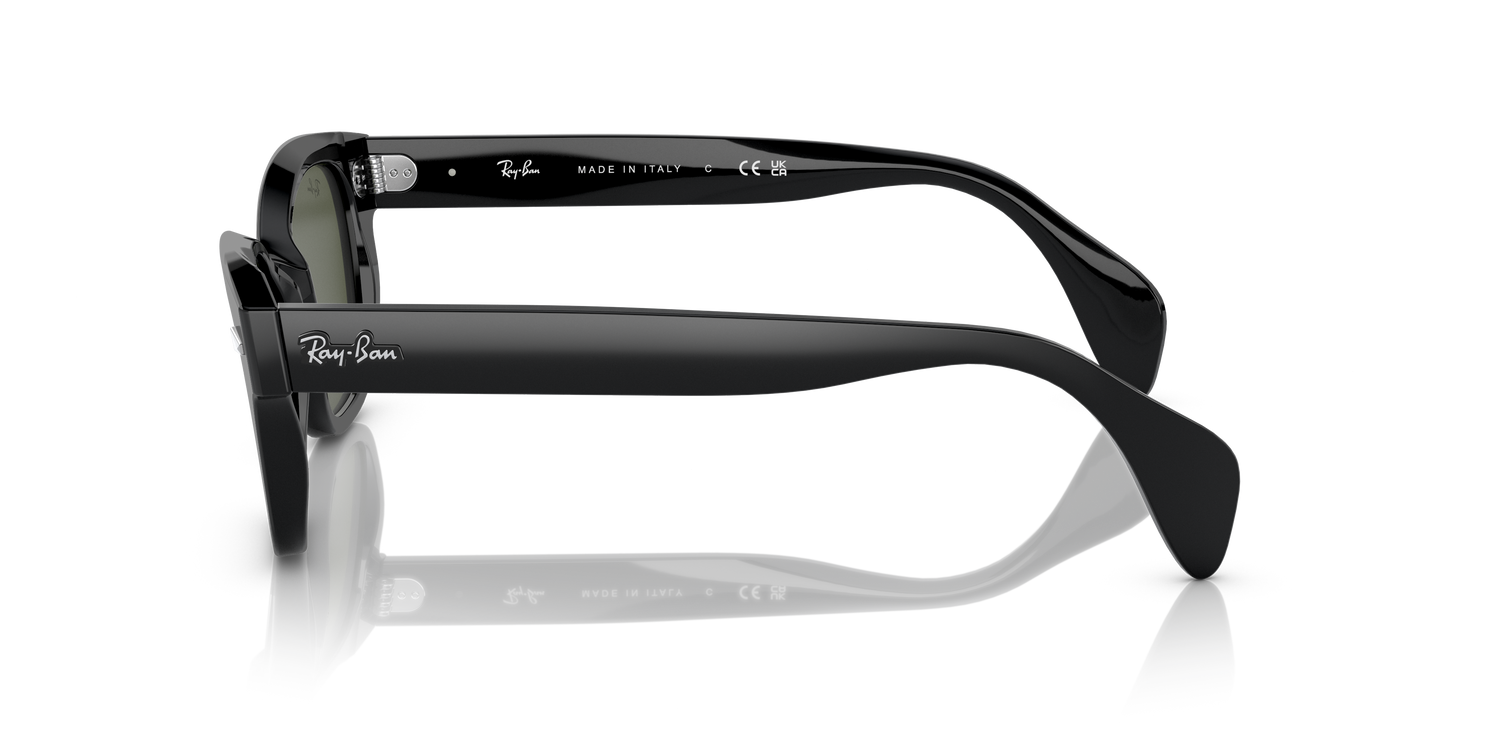 Ray-Ban RB0880s 901/31 52