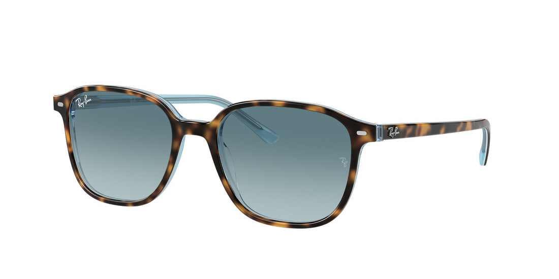 RAY-BAN RB2193 LEONARD 13163M 53