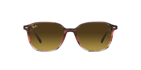 RAY-BAN RB2193 LEONARD 138085 53