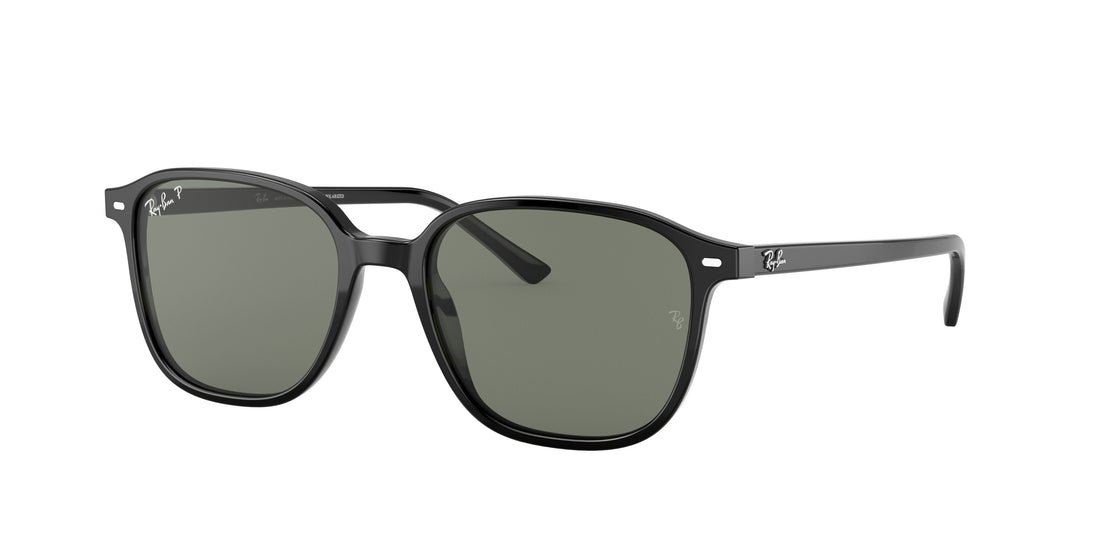 Sunglasses ray-ban rb2193 leonard 901/58 unisex size 53mm - Main view