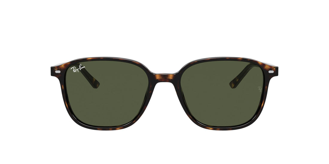 RAY-BAN RB2193 LEONARD 902/31 51