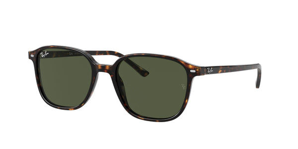 RAY-BAN RB2193 LEONARD 902/31 53