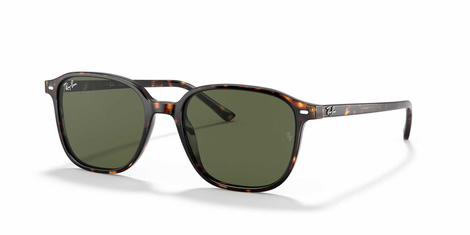 RAY-BAN RB2193 LEONARD 902/31 53