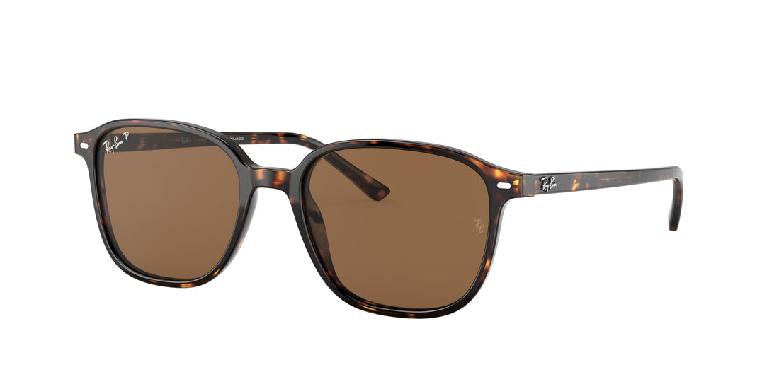 Sonnenbrillen ray-ban rb2193 leonard 902/57 unisex größe 53mm - Hauptansicht