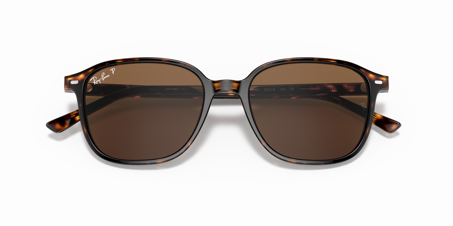 RAY-BAN RB2193 LEONARD 902/57 53