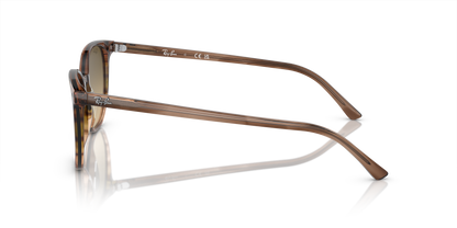 RAY-BAN RB2197 ELLIOT 13920A 52