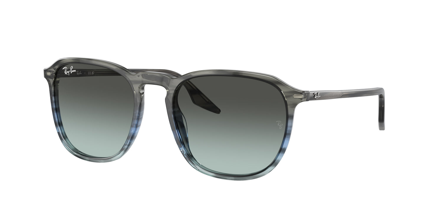 RAY-BAN RB2203 1391GK 55