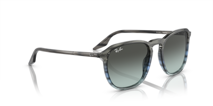 RAY-BAN RB2203 1391GK 55