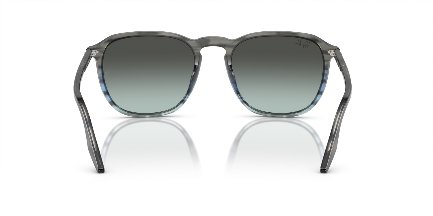 RAY-BAN RB2203 1391GK 55