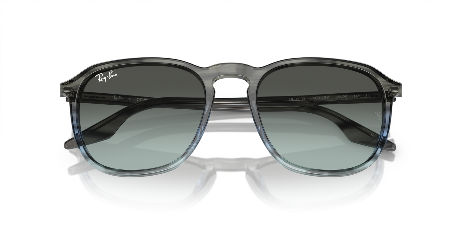 RAY-BAN RB2203 1391GK 52