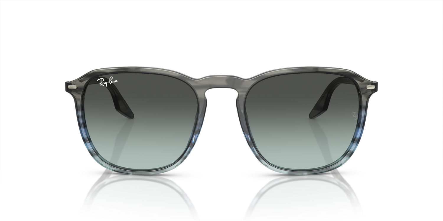 RAY-BAN RB2203 1391GK 55