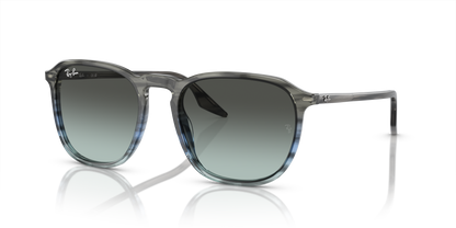 RAY-BAN RB2203 1391GK 52