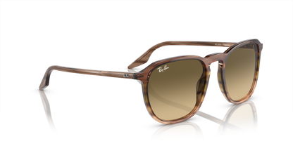 RAY-BAN RB2203 13920A 55