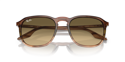 RAY-BAN RB2203 13920A 55