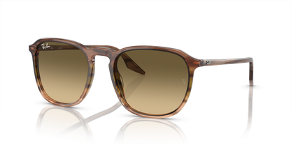 RAY-BAN RB2203 13920A 55