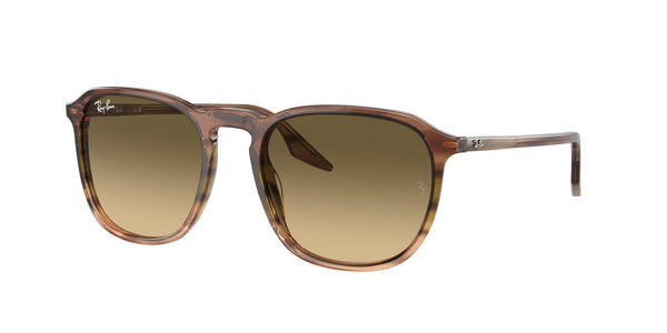 RAY-BAN RB2203 13920A 55
