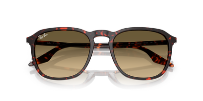 RAY-BAN RB2203 14290A 55