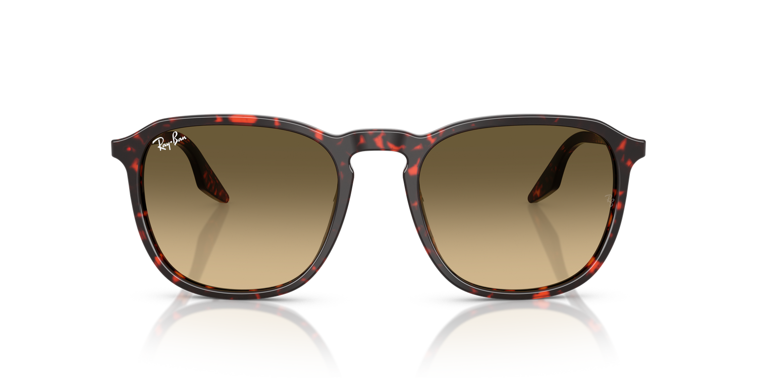 RAY-BAN RB2203 14290A 55