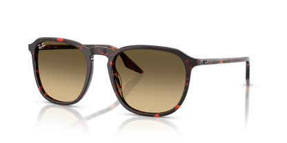 RAY-BAN RB2203 14290A 55
